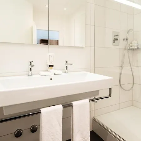 Hotel Rochat 3*