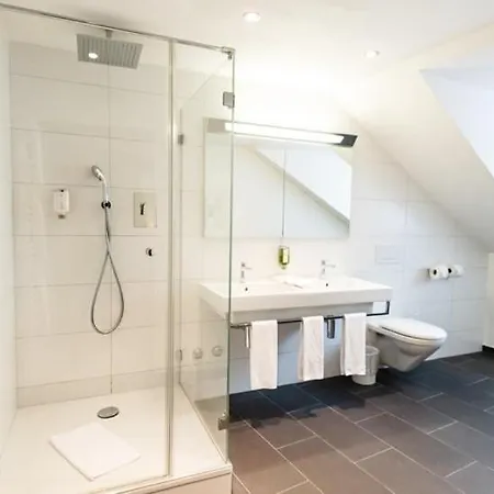 Hotel Rochat 3*